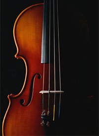 Violin - Violin Lessons